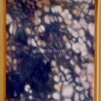 Violette boyer 3 