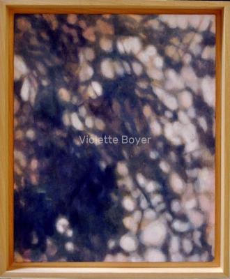 Violette boyer 3 